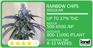 Exploring the World of cannabis seeds iowa